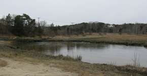 The Wading Place